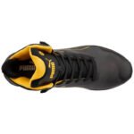 635630_Puma_Oben