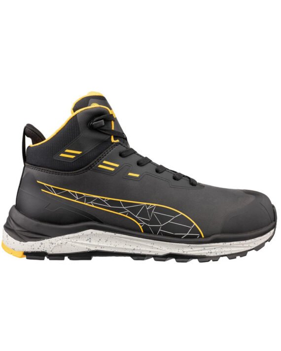 635630_Puma_Rechts