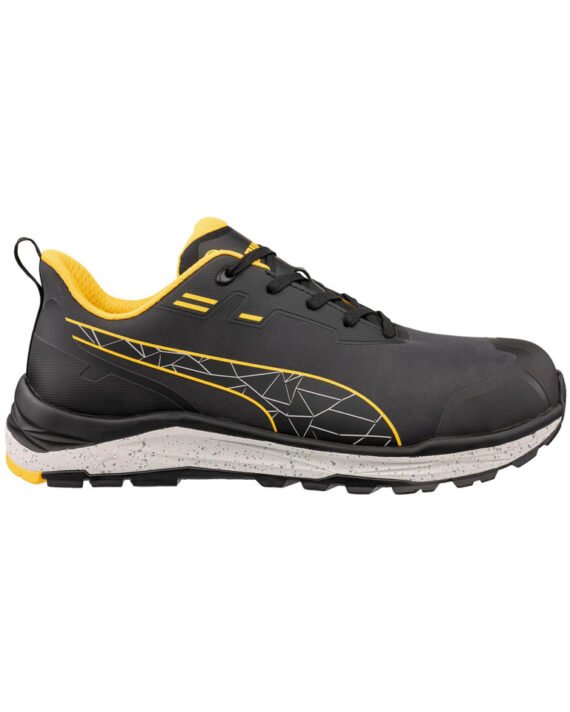 645630_Puma_Rechts