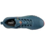 645640_Puma_Oben